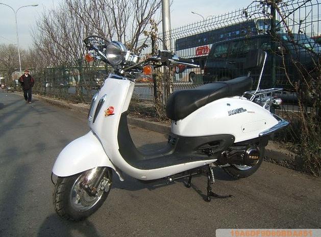 大龜王圖片/大龜王樣板圖 (4)