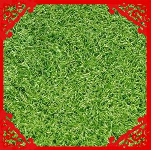 供應(yīng)朝陽區(qū)門球場草皮施工，門球場草皮批發(fā)價(jià)格，北京門球場草皮供應(yīng)