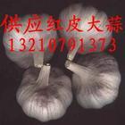 金鄉(xiāng)縣大蒜蒜薹即將上市、歡迎您來采購、儲存