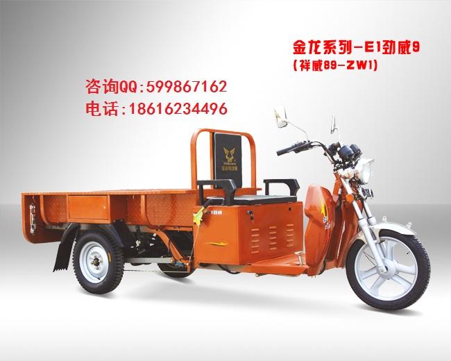 宗申E1勁威9電動三輪車圖片