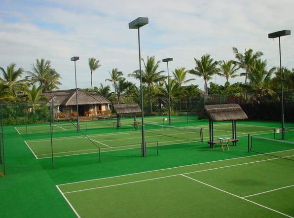 供應(yīng)石家莊老人門球場(chǎng)材料免費(fèi)施工