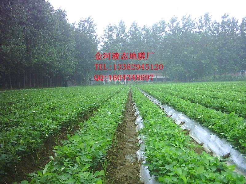 生物農(nóng)膜全生物降解多功能農(nóng)膜