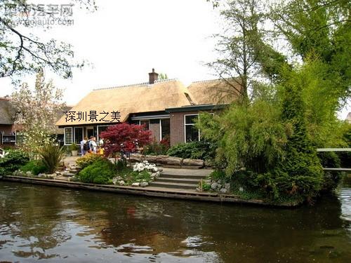 青島仿真茅草圖片/青島仿真茅草樣板圖 (3)