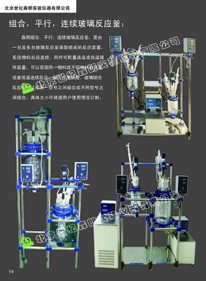 供應(yīng)SL212多極玻璃反應(yīng)釜價格