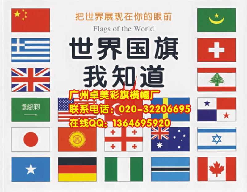 公司標(biāo)志旗圖片/公司標(biāo)志旗樣板圖 (3)