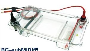 供應(yīng)BG-subMIDI水平電泳儀,電泳儀，電泳儀電源