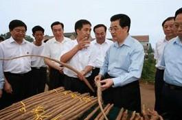 供應(yīng)鐵棍山藥怎么吃，什么是真正的鐵棍山藥