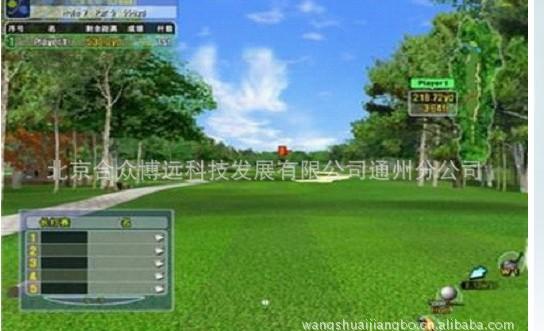 供應(yīng)Eagle專業(yè)版模擬高爾夫練習(xí)器