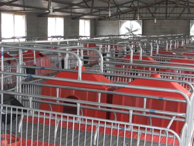 供應(yīng)豬自動(dòng)采食槽模具