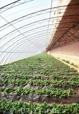 供應(yīng)抗雪壓4mmPE萬通板 PE萬通板 廠家直銷