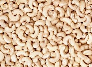 腰果脫皮機(jī)圖片