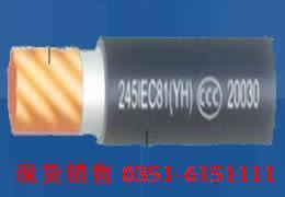 供應(yīng)重慶銷售耐火電纜現(xiàn)貨