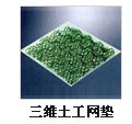 江蘇三維植被網(wǎng)生產(chǎn)廠家圖片