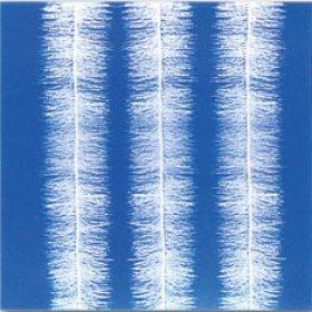 立體彈性填料圖片