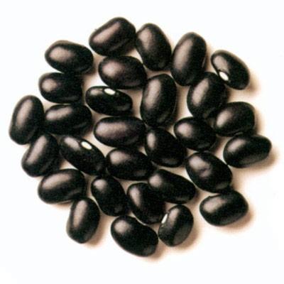 供應(yīng)河南駐馬店黑綠豆種子黑小豆種子廠家黑豆種子批發(fā)