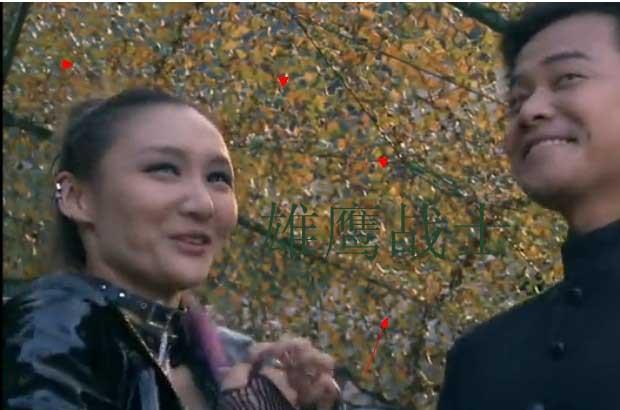 供應(yīng)生產(chǎn)防偽網(wǎng)防航拍偽裝網(wǎng)防衛(wèi)星拍攝偽裝網(wǎng)