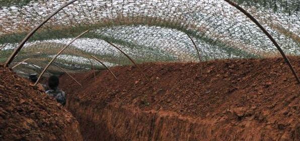 供應廣州迷彩網偽裝迷彩網