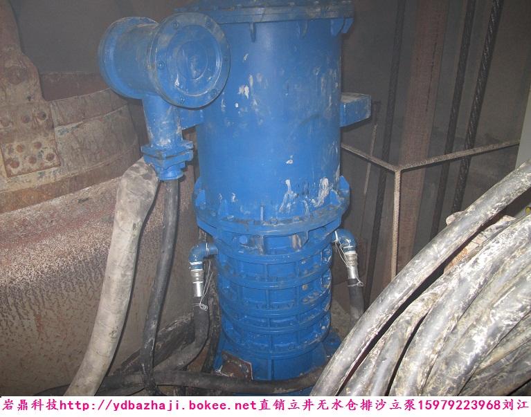 供應(yīng)70濃度泥沙漿立泵