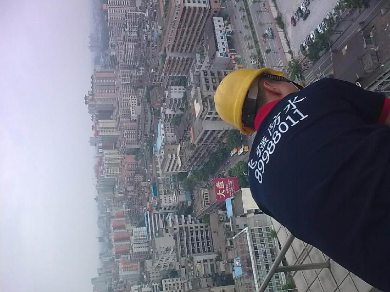 供應(yīng)佛山防水補(bǔ)漏就找飛強(qiáng)*價(jià)格優(yōu)惠