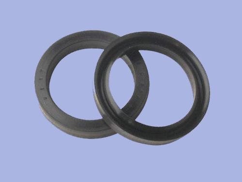 供應(yīng)氟橡膠油封，氟橡膠骨架油封