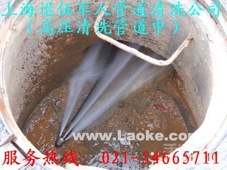 供應(yīng)上海浦東區(qū)川沙環(huán)衛(wèi)所抽糞污水處理市政管道清洗公司