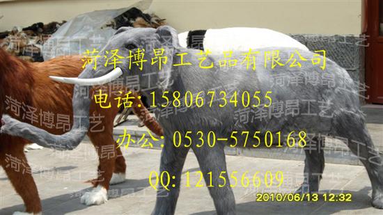 仿真動(dòng)物熊貓*大象*照相動(dòng)物