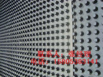 供應(yīng)浙江園林工程排水板塑料排水板蓄排水板