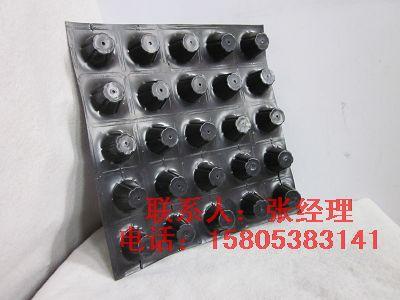 山東排水板青島車庫排水板淄博地下室排水板供應(yīng)