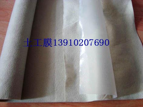 防滲土工布圖片/防滲土工布樣板圖 (2)