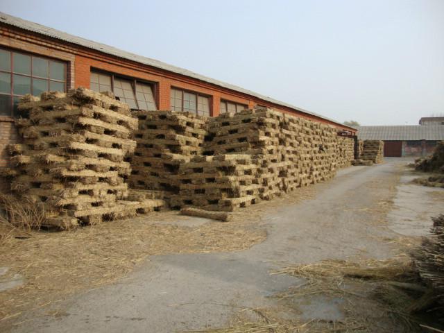 供應(yīng)稻草飼料生產(chǎn)廠，天津稻草飼料生產(chǎn)廠，天津稻草飼料專賣店