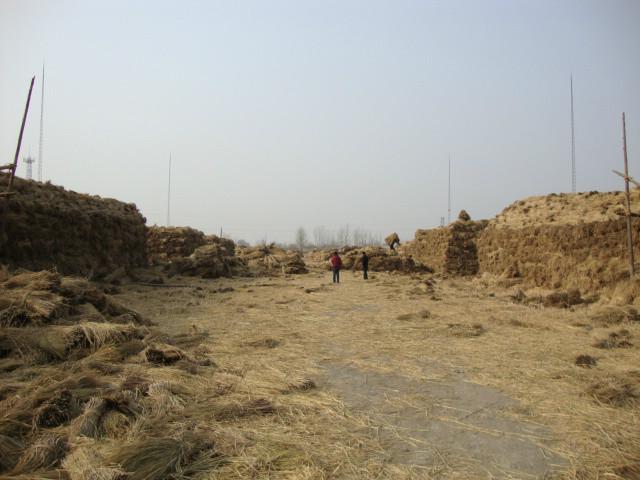 供應河北稻草飼料*廠家，河北稻草飼料生產(chǎn)商