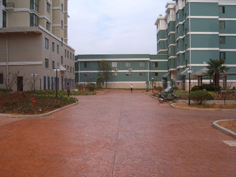 供應(yīng)藝術(shù)地坪其花型顏色可根據(jù)設(shè)計(jì)要求