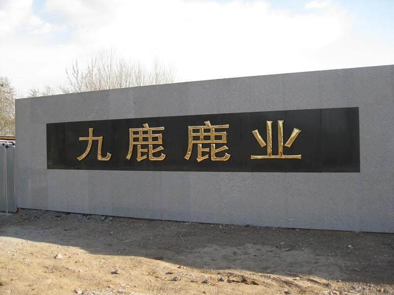 供應(yīng)2012梅花鹿