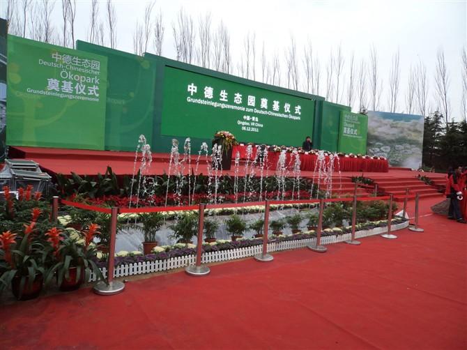 供應(yīng)青島哪有賣(mài)蝴蝶蘭的