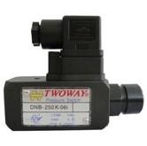 壓力繼電器DNB250K圖片