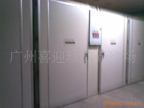 湖南珍珠雞種苗圖片