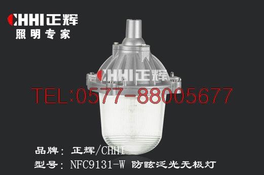 供应温州NFC9131W无极灯厂家防眩无极灯泛光无极灯厂家