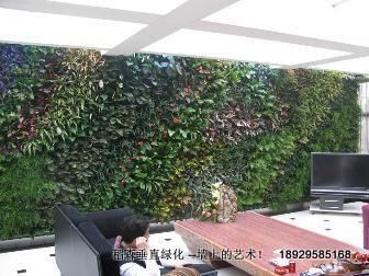 垂直綠化新的裝修選擇