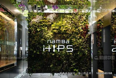 綠墻越來越成功的植物建筑圖片