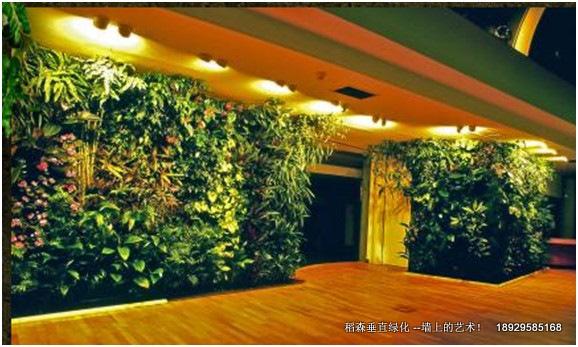 稻森植物墻無土垂直綠化倡導者