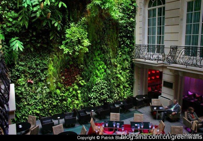 綠墻：越來越成功的“植物建筑”綠墻越來越成功的植物建筑