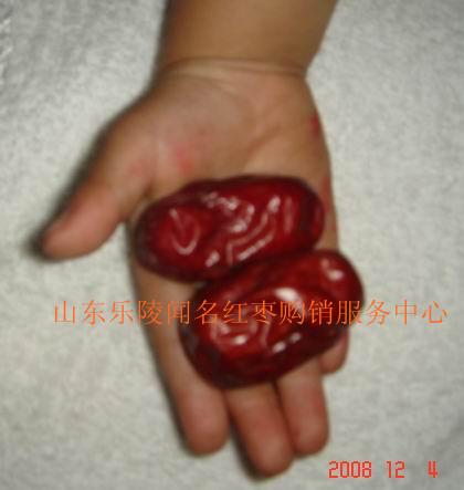 常年供應(yīng)山東樂陵長(zhǎng)紅大棗