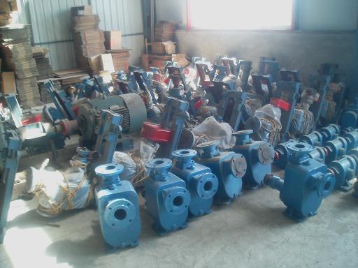 25CYZ27系列離心泵圖片