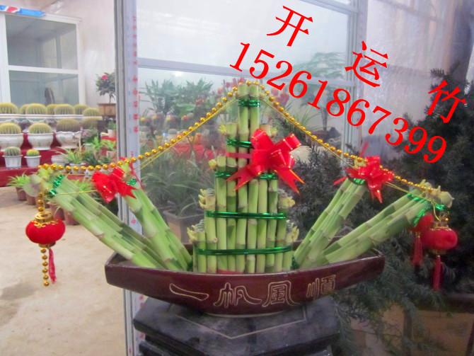 供應(yīng)南京花卉租賃價格