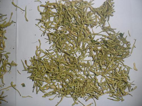 河南金銀花價(jià)格圖片