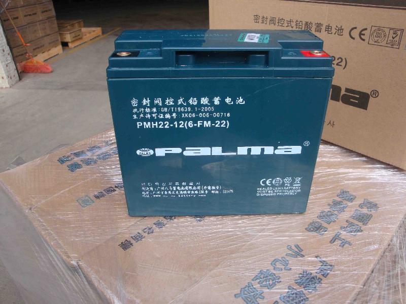 广州市八马PALMA 12V22AH动力蓄电池厂家供应八马PALMA 12V22AH动力蓄电池