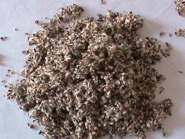 供應(yīng)濟(jì)南棉籽皮廠