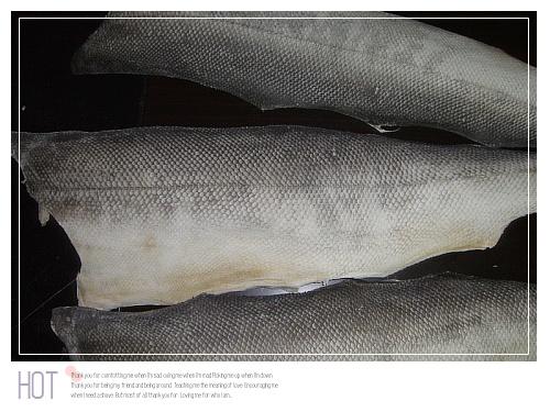 批發(fā)魚(yú)皮