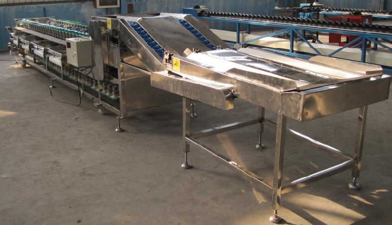 供應(yīng)不銹鋼蘋果柑橘雙直自動上果選果機