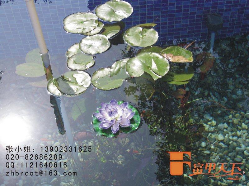 淮安景觀水凈化過濾工程圖片